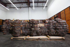 A large Mappa Boul log on a pallet about 9 feet long and 4 foot circumference.