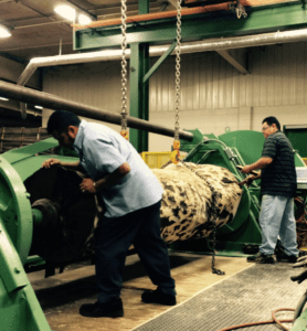 A Rotary slicer which is a large industrial machine slicing veneer by runinng the blasd completely around the circumference of the tree trunk.