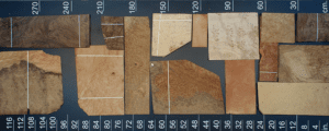 Various types and sizes of burl veneer laying on a measurments table. 