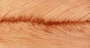 A sample of Mahogany crotch wood veneer of vibrant color and a tight, stringht crotch.