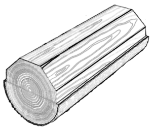 A diagram showing a flatcut log and it's resulting "cathedral" grain structure.