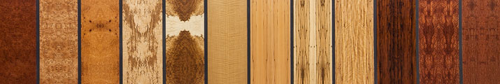 specifying2